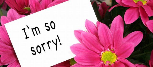 What Flowers to Send while Saying Sorry or Thank You
