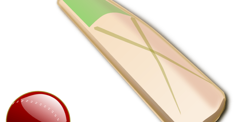 cricket bat