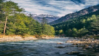 things to do in kasol