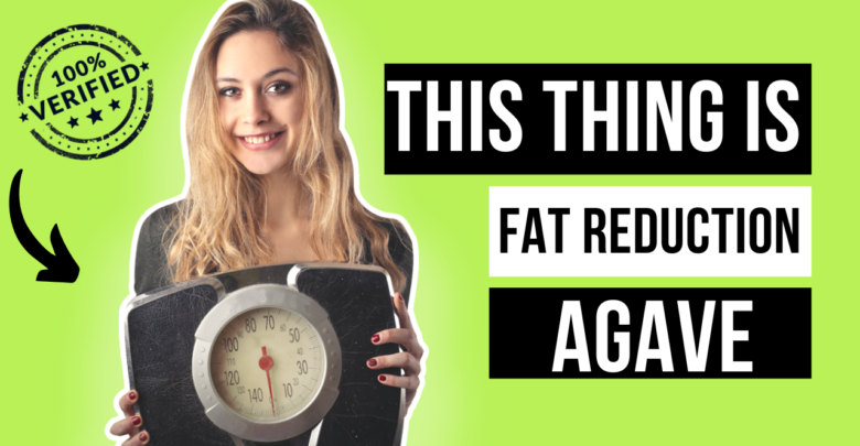 Rajkotupdates.news : this thing is fat reduction agave