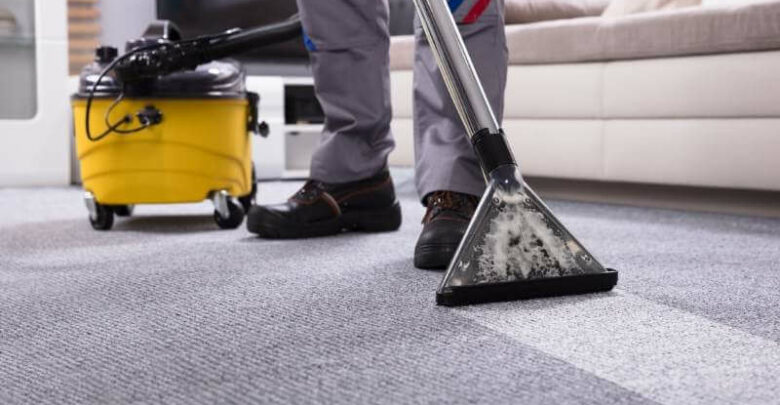 What to Look for in Professional Carpet Cleaning Company