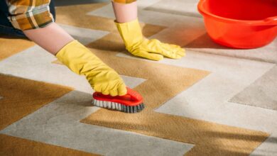 Tips for Maintaining Clean Carpets with Professional Cleaning Services