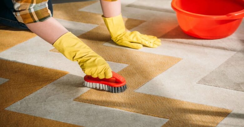 Tips for Maintaining Clean Carpets with Professional Cleaning Services